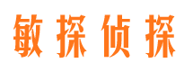 翠峦侦探公司